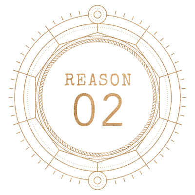 Reason Icon 02
