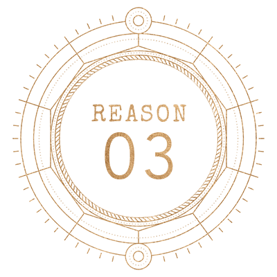 Reason Icon 03