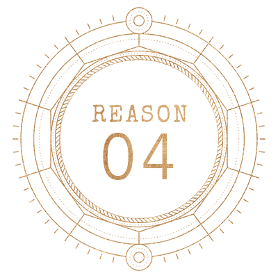 Reason Icon 04