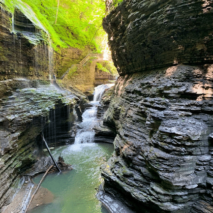 watkinsglen